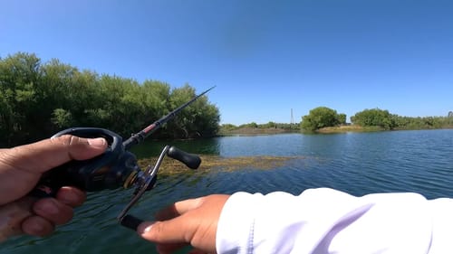Fishing a Private Pond Loaded with Fish
