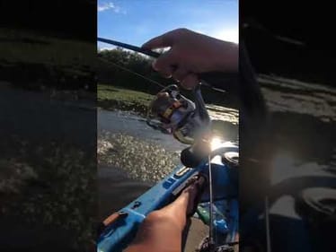 Fishing Lily pads loaded with BASS! (Kayak fishing) #shorts