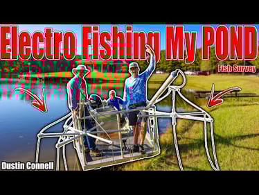 Electro Fishing My Pond - No Telling What We Will Find!