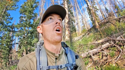 SEEING ELK for THE FIRST TIME! | Public Land Archery Hunting