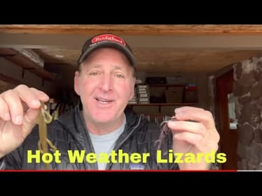 I Can’t Believe I’m Giving Up The Summer Lizard Trick…