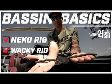 Wacky Rig or Neko Rig? When to Throw Each