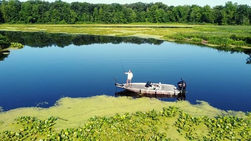 5 Summer GRASS Fishing TIPS You NEED To Know