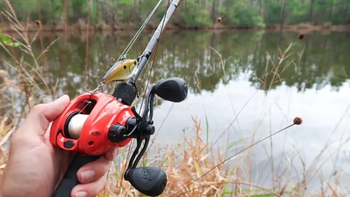 Fishing THICK Grass for GIANT Bass (Surprising)