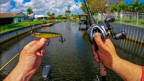Fish Were Crushing Topwaters In Tight Florida Canals!