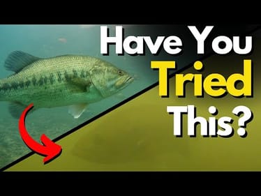 My #1 Strategy When Water Clarity Suddenly Changes (Bass Fishing Tips)