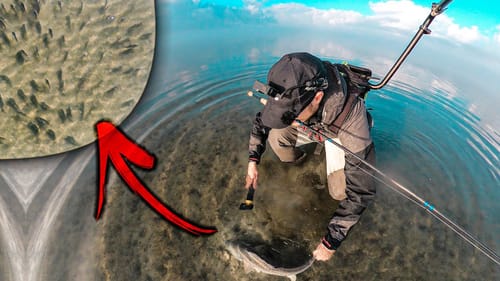 fields of fish FOUND IN INCHES OF WATER (how we caught them)
