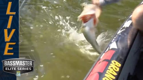 Brandon Lester staying strong with a shad spawn