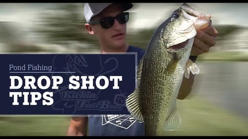Pond Fishing In My Backyard - Drop Shots