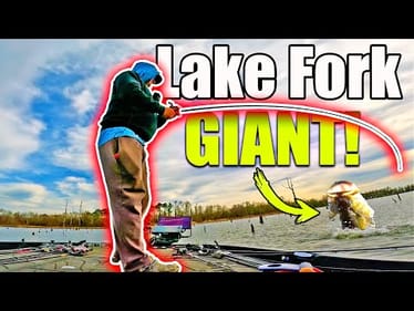 THIS is why you Fish Lake Fork! (TROPHY Catch)