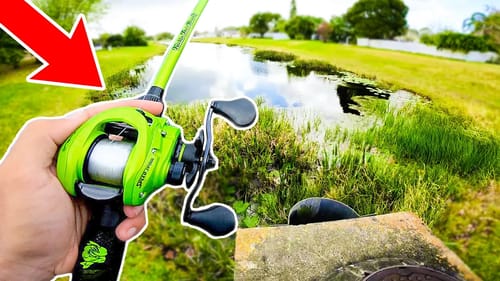 Catching GIANT Bass in URBAN Canals (Bank Fishing)