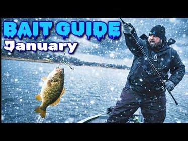 5 Baits That Change January Bass Fishing