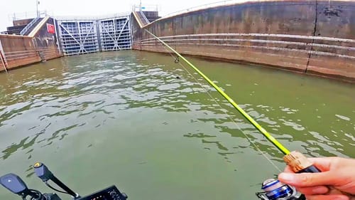 SO MANY FISH BELOW THE DAM!! Catching BIG CRAPPIE AND MORE!!