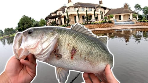 Bass Fishing by $10 MILLION Mansions!! (KICKED OUT)