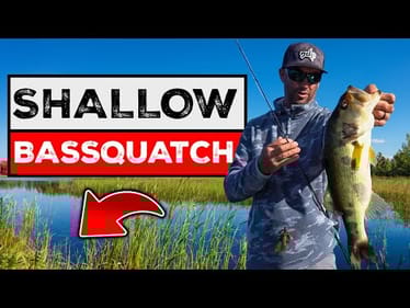 BIGGER Bass Eat JIGS! Simple Shallow Cover Fall Flipping & Pitching Tutorial