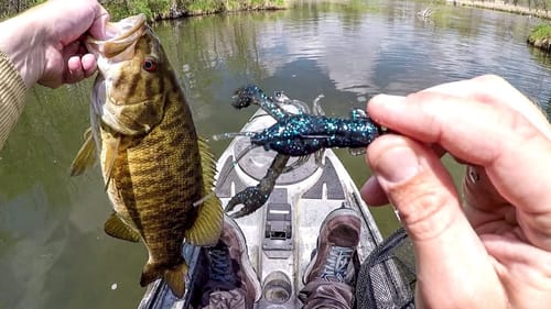 The Smallies Didn't Stand A Chance! (MN Opening Day)
