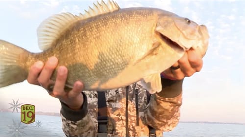 Seth Feider's Smallmouth Fiesta at St. Clair
