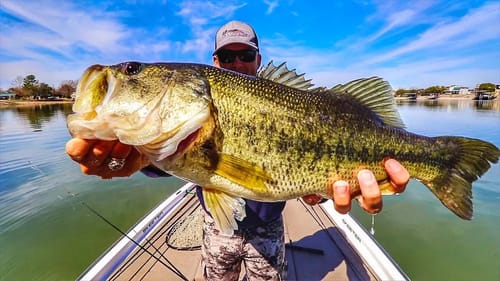Big Bass on LBJ | Bandito Bug Gets It Done