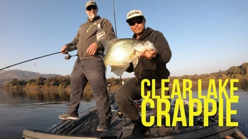 Surprise Bycatch Bass Fishing on Clear Lake - Part 2
