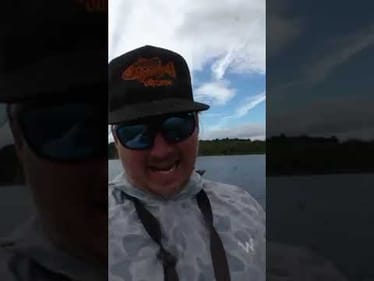 You NEED This Bait In Your Tackle Box