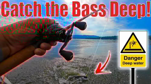 The 5 BEST June Offshore Lures