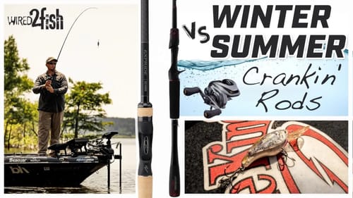 Winter Crankbait  vs. Summer Crankbait Rod Setup
