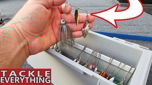 NOT Your Average Spinnerbait