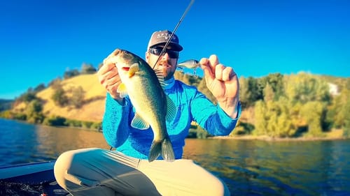 Squarebill Crankbaits For Shallow Docks