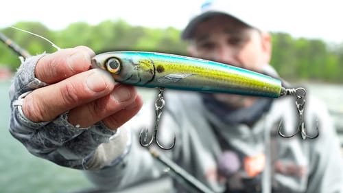 This Topwater Bait BREAKS Every RULE in Fishing and Still Catches Giant Bass