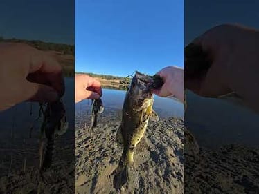 Yeet!  4lber in the mud