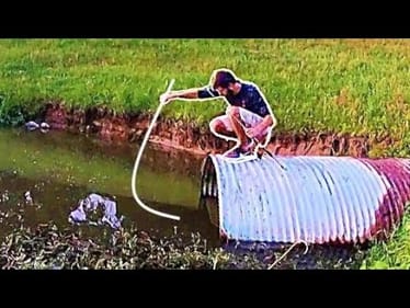 MONSTER FISH in the TUNNEL!!!