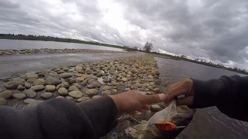 Fishing Flooded Ponds (Sycamore Island)
