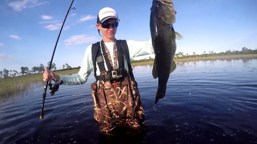 Wade Fishing for Bass with Frogs