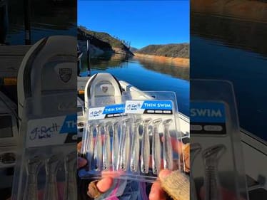 Testing the G-Ratt Baits Thin Swim (John Pearl Shad) with a Bass Union Finesse Swimbait Head 🎣