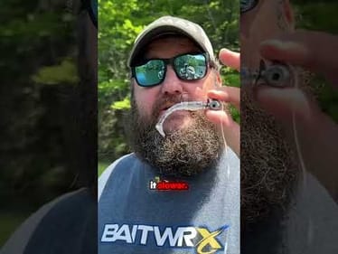 The Jig Head Minnow Killer