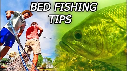 Underwater Bed Fishing for Bass! Watch How They React! (TIPS AND TRICKS)