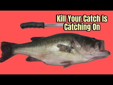 Why Anglers Today Are Keeping And Killing Bass At A Record Rate…