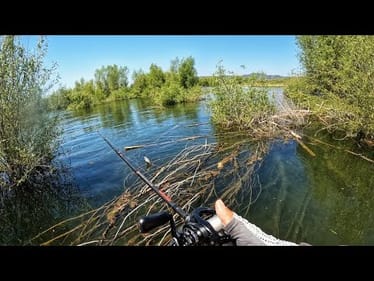 I needed a fishing “Reset day”