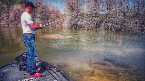 Determine the Bass Spawn Using Nature's Cues