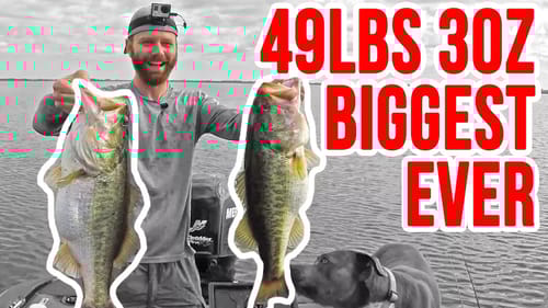 INSANE 49lbs 3oz Fishing for Bass ~ Biggest Bag Ever on YouTube