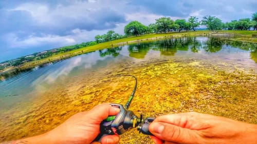 Spring Feeding Bass HAMMER the FLUKE! Am I Cursed?