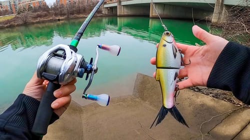 NEW Glidebait Catches First Fish Of The Year! Where I've Been the last 2 Months
