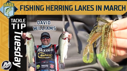 How to fish a Blueback Herring lake in March (LAKE HARTWELL)