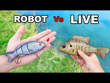 ROBOTIC FISHING LURE Vs. LIVE BAIT For Big Bass (Male KAREN Hates Fisherman!)