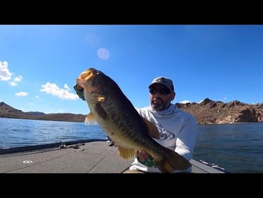 Most People Miss This! SECRETS to The Salt Chain Of Lakes!!