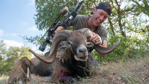 Exotic RAM Archery Hunt (Heart Shot) Clean & Cook