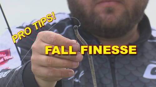Finesse Tactics In The Fall | Bass Fishing