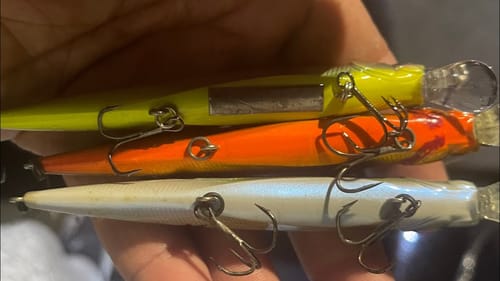 Lure Belly Colors Matter