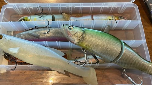 Big Swimbaits/Glidebaits...Advanced Tricks That Will Lead To Success