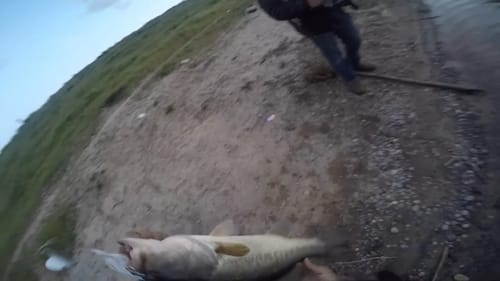 Pond Fishing with Buzzbaits